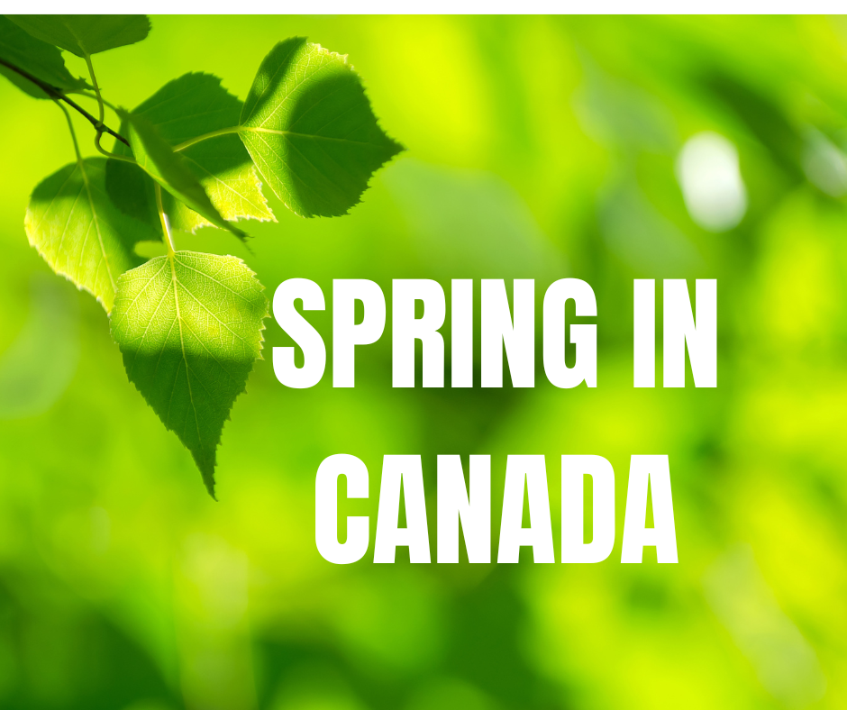 Spring Astronomy in Canada