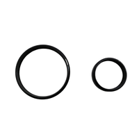 Astronomik Accessory Astronomik Empty Filter Cell/Casing