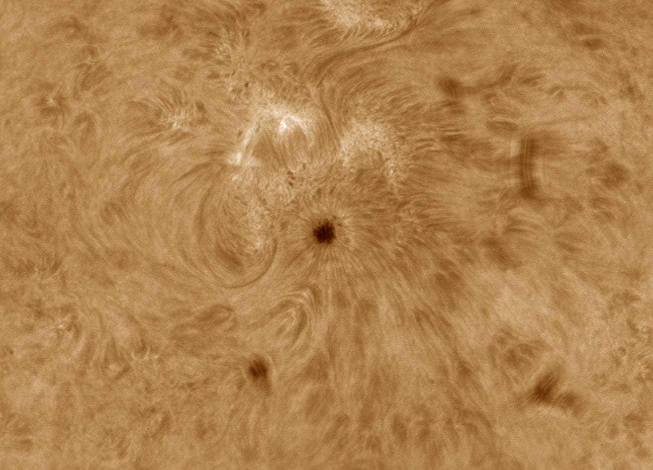 Baader Planetarium Accessory Baader Telecentric System TZ-4 - 2459256