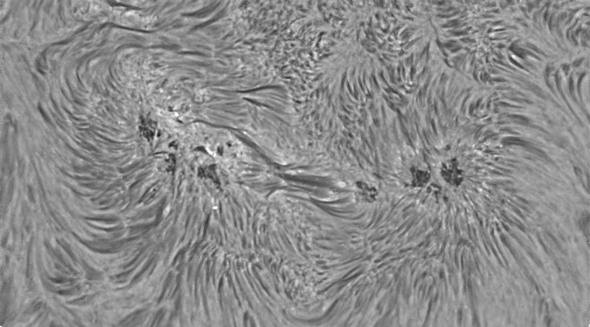 Baader Planetarium Accessory Baader Telecentric System TZ-4 - 2459256