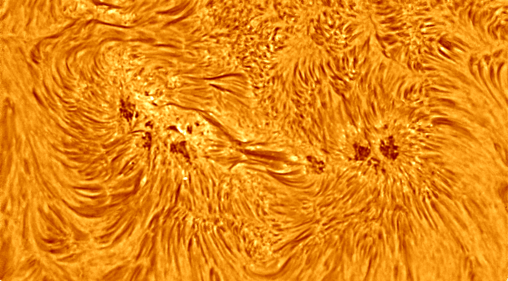 Baader Planetarium Accessory Baader Telecentric System TZ-4 - 2459256