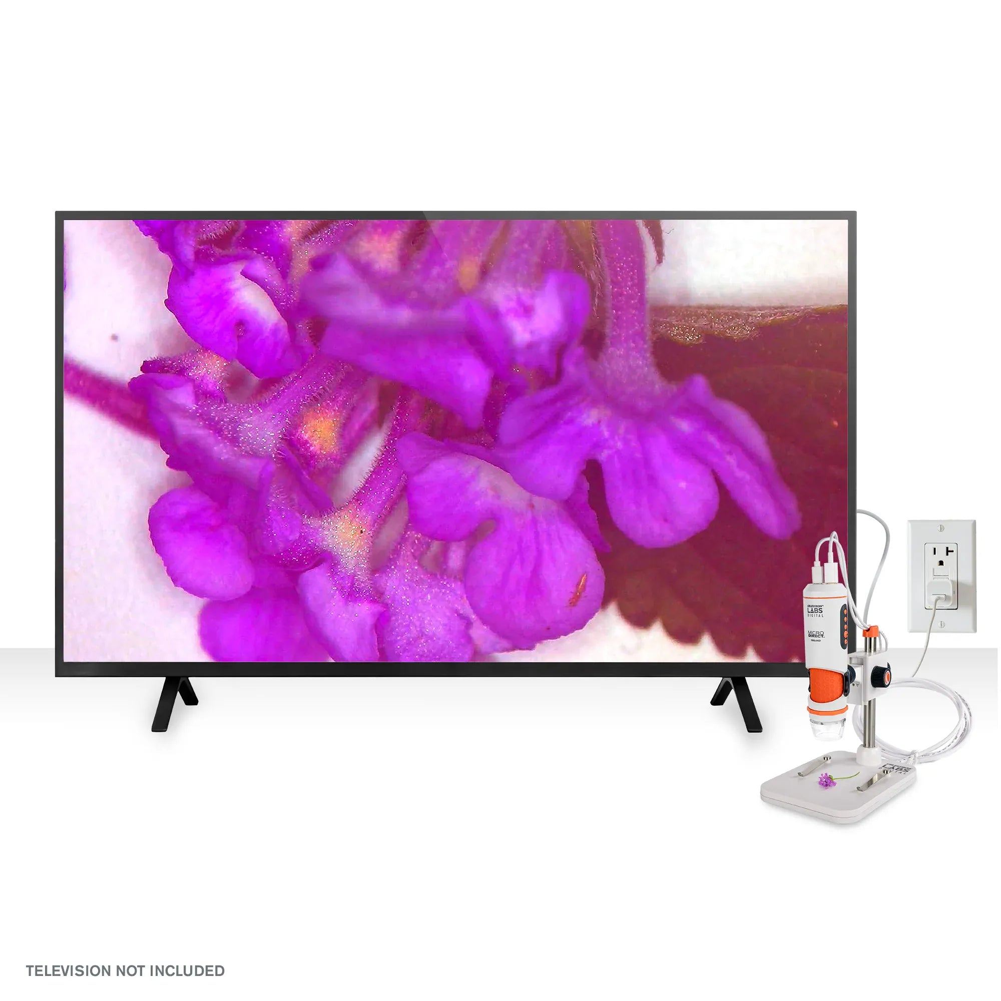 Celestron STEM Celestron Labs Digital MicroDirect Microscope - 44316