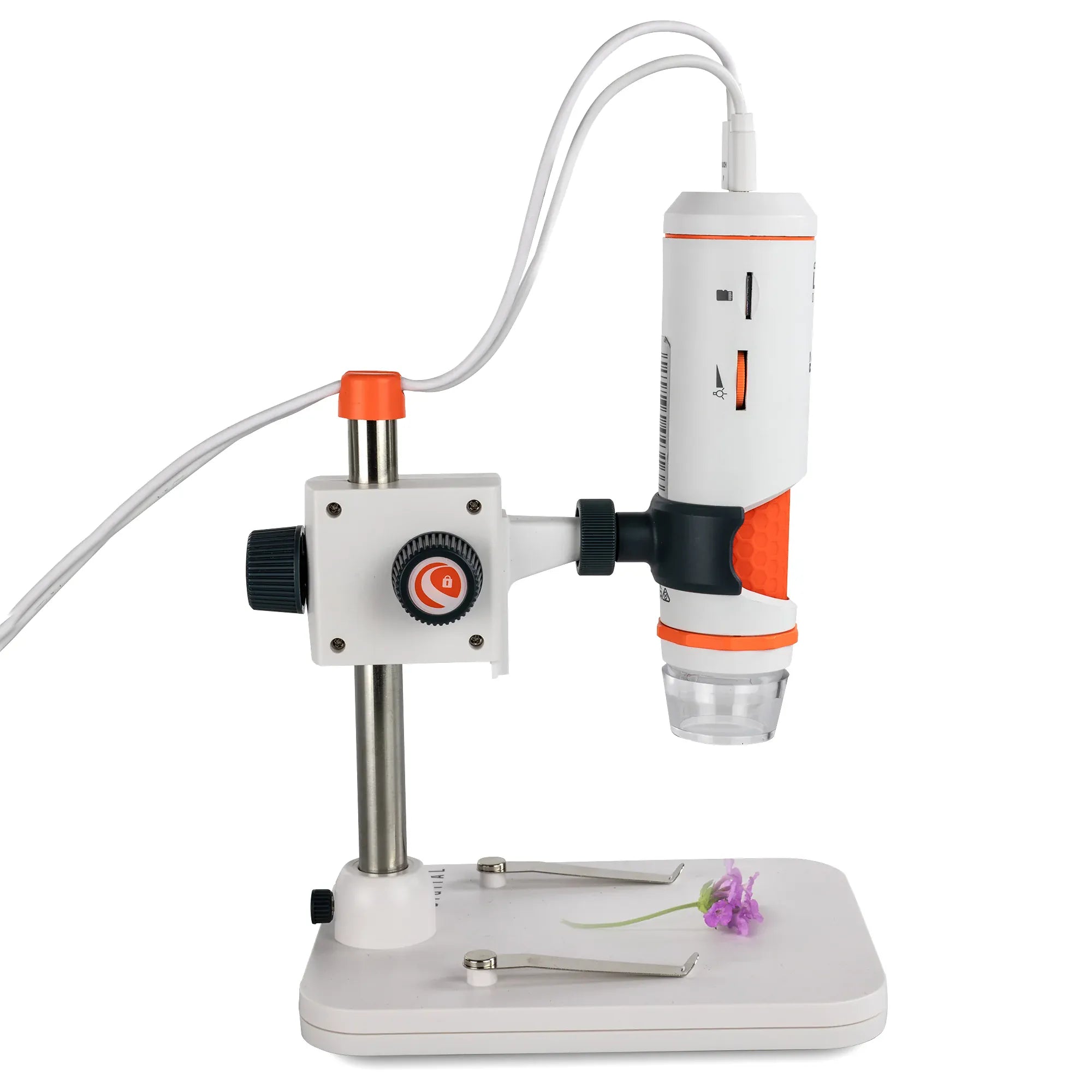 Celestron STEM Celestron Labs Digital MicroDirect Microscope - 44316