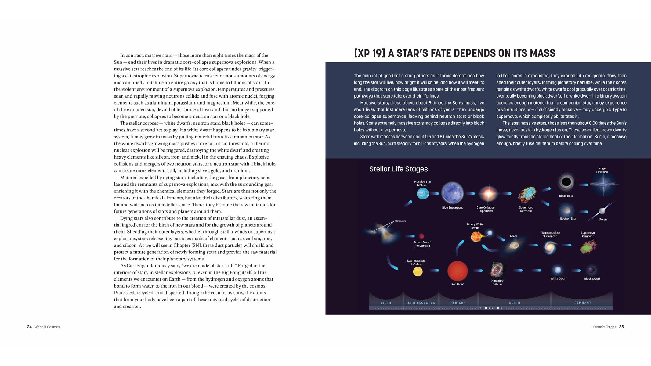 Firefly Books Books Webb's Cosmos