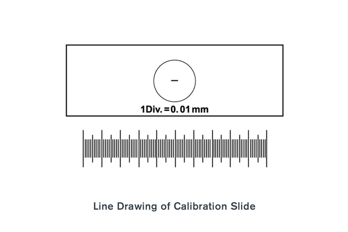 Celestron Accessory Celestron Microscope Calibration Slide - 44401