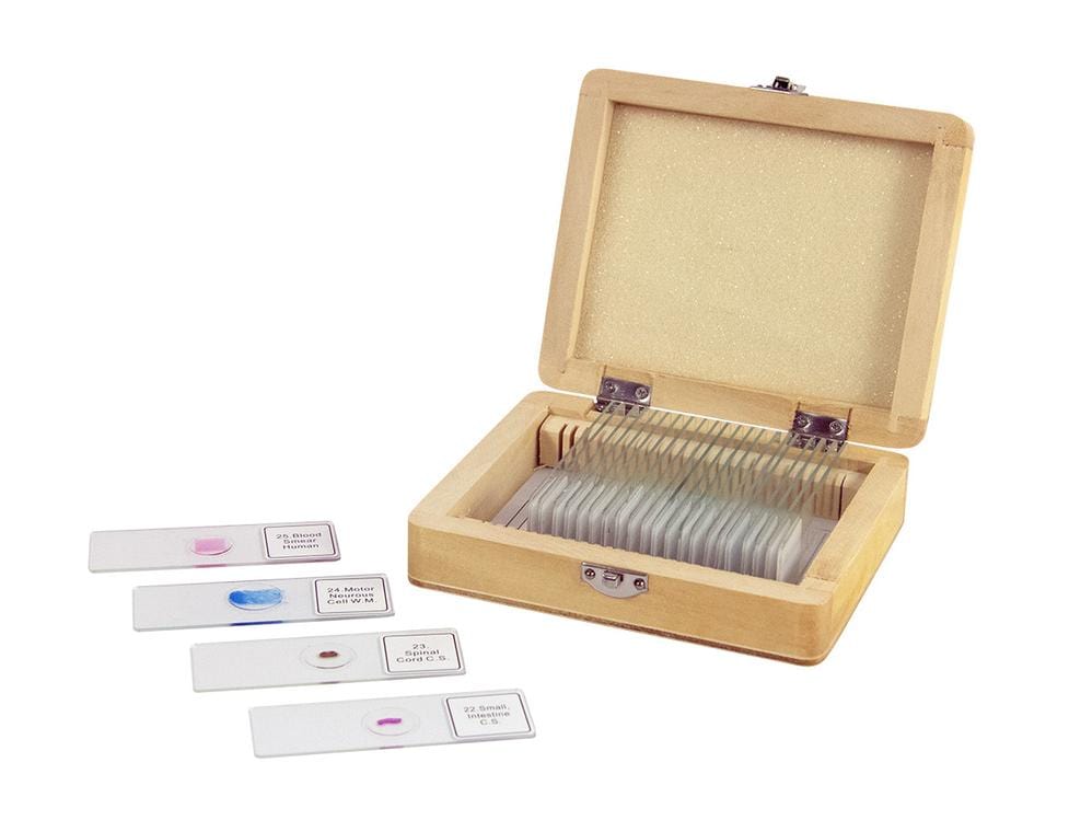 Celestron Accessory Celestron Prepared Slides - 25 piece box - 44410
