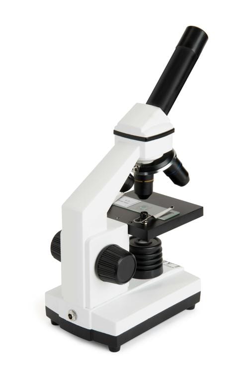 Celestron Microscope Celestron CM800 - Compound Microscope - 44128