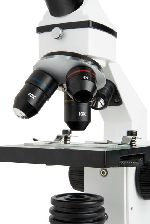 Celestron Microscope Celestron CM800 - Compound Microscope - 44128