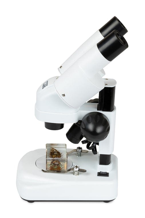 Celestron Microscope Celestron Labs S20A Angled Stereo Microscope - 44137