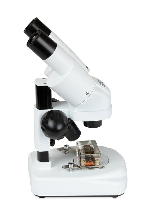 Celestron Microscope Celestron Labs S20A Angled Stereo Microscope - 44137
