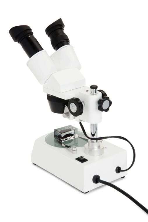 Celestron Microscope Celestron S10-60 Stereo Microscope - 44208