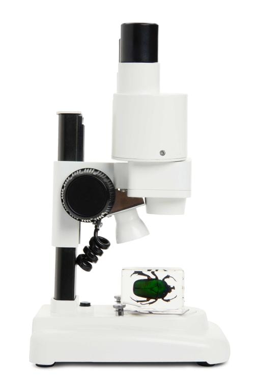 Celestron Microscope Celestron S20 Stereo Microscope - 44207