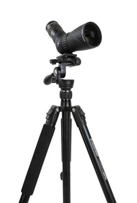 Celestron Tripod Celestron Tripod, Hummingbird - 82051