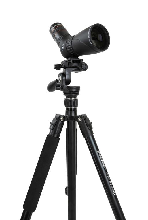 Celestron Tripod Celestron Tripod, Hummingbird - 82051