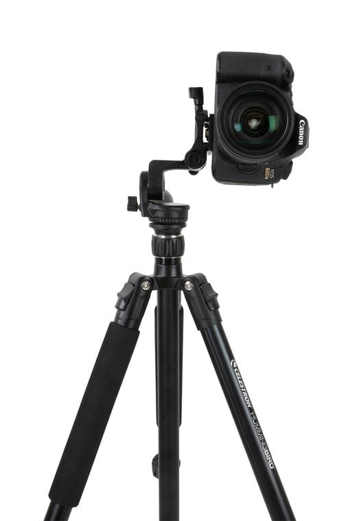 Celestron Tripod Celestron Tripod, Hummingbird - 82051