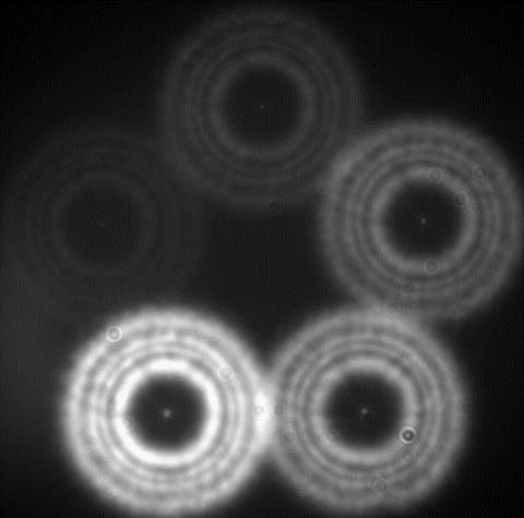 Hubble Optics Accessory Hubble Optics 5-Star Artificial Star