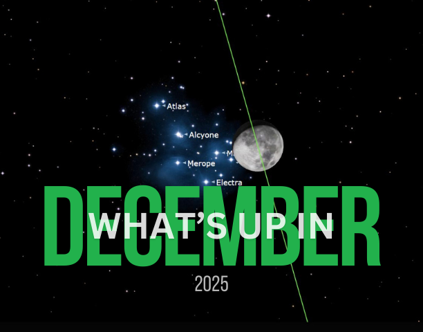 What's Up in December