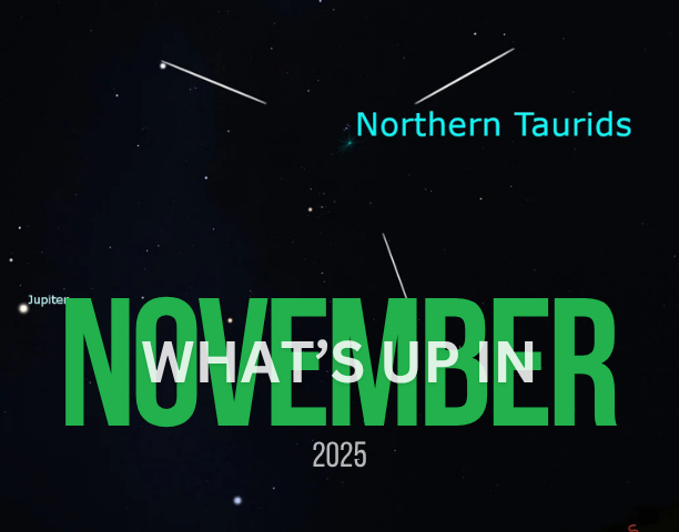 What's Up in November