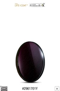 Baader Planetarium Accessory Baader SLOAN/SDSS (ugriz) Filterset 65x65mm – photometric