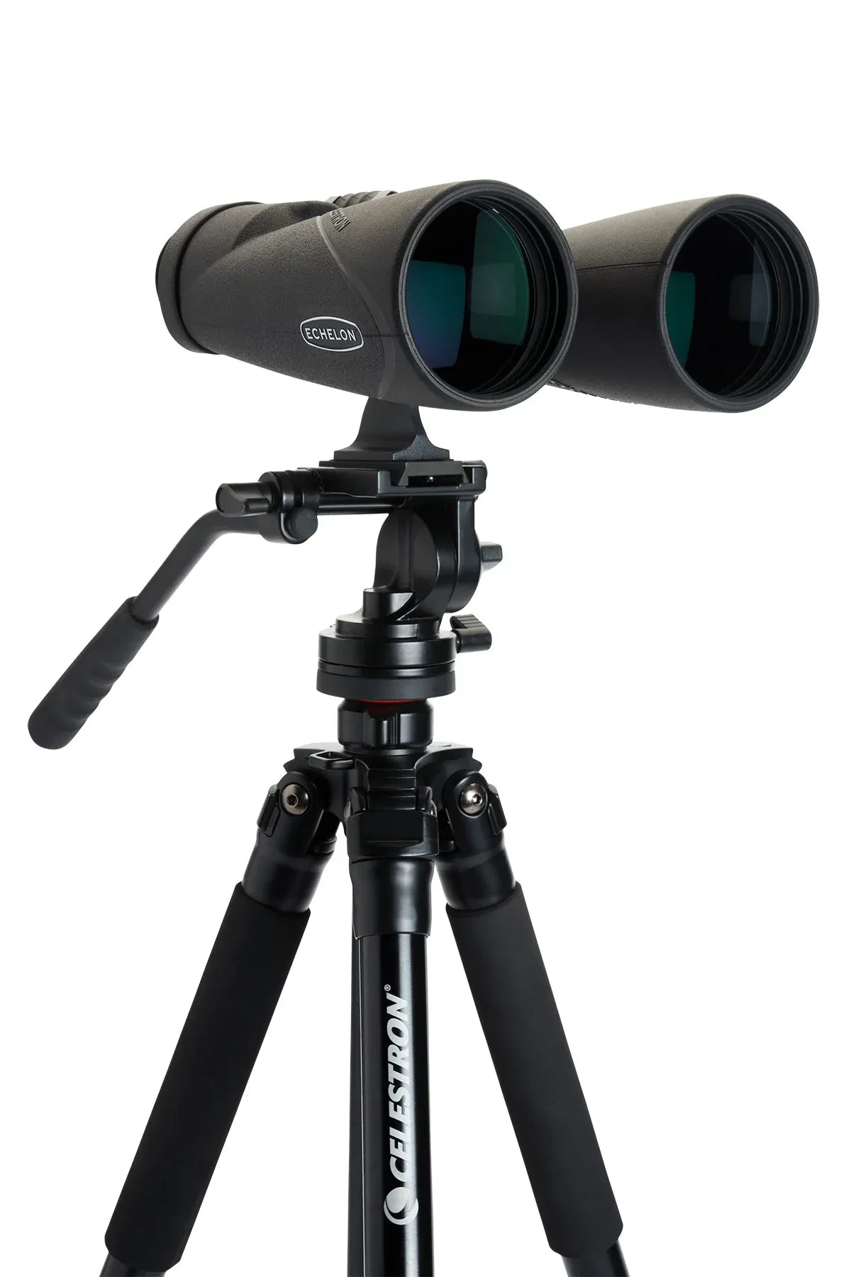 Celestron Nature & Wildlife Celestron Echelon 20x70 - 71454