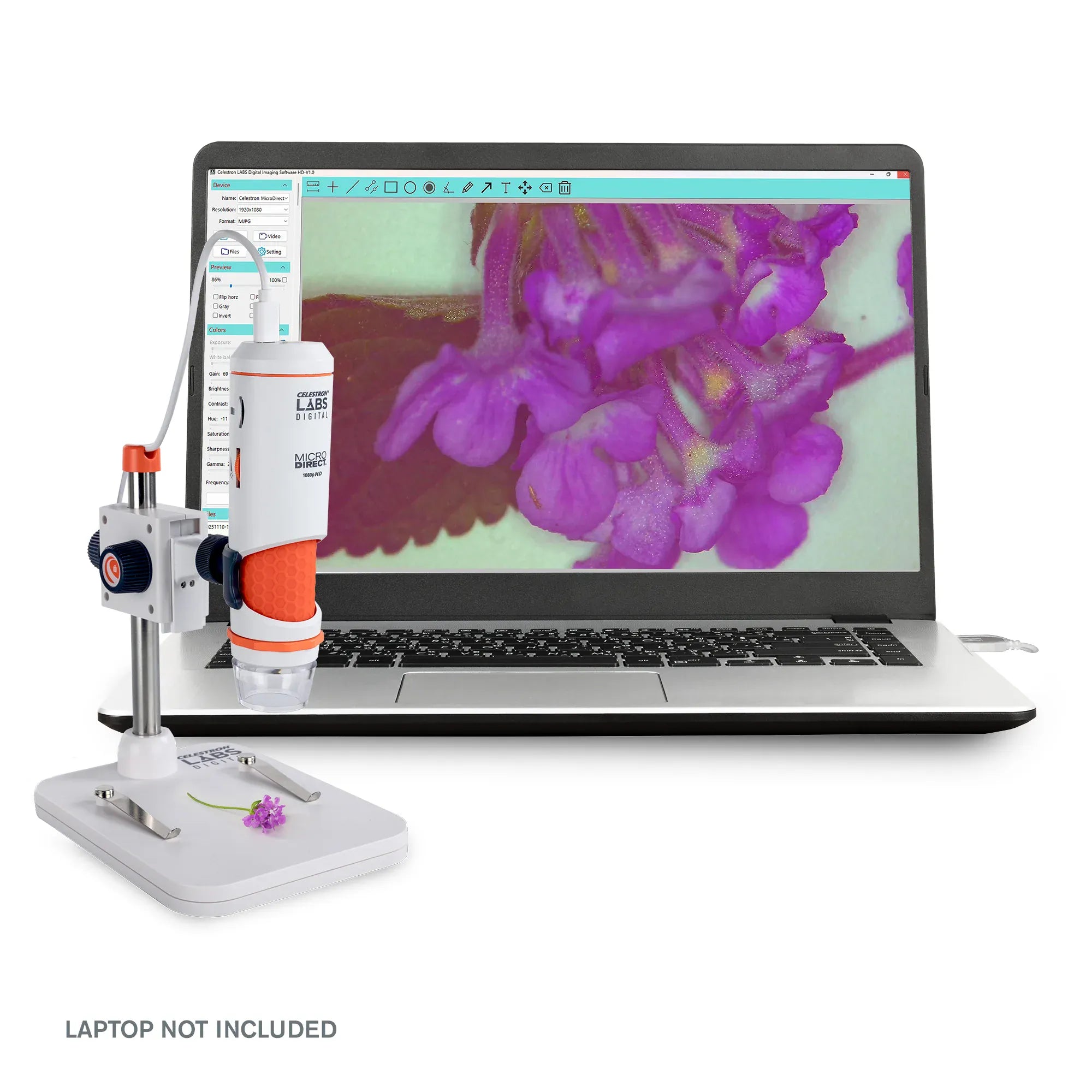 Celestron STEM Celestron Labs Digital MicroDirect Microscope - 44316