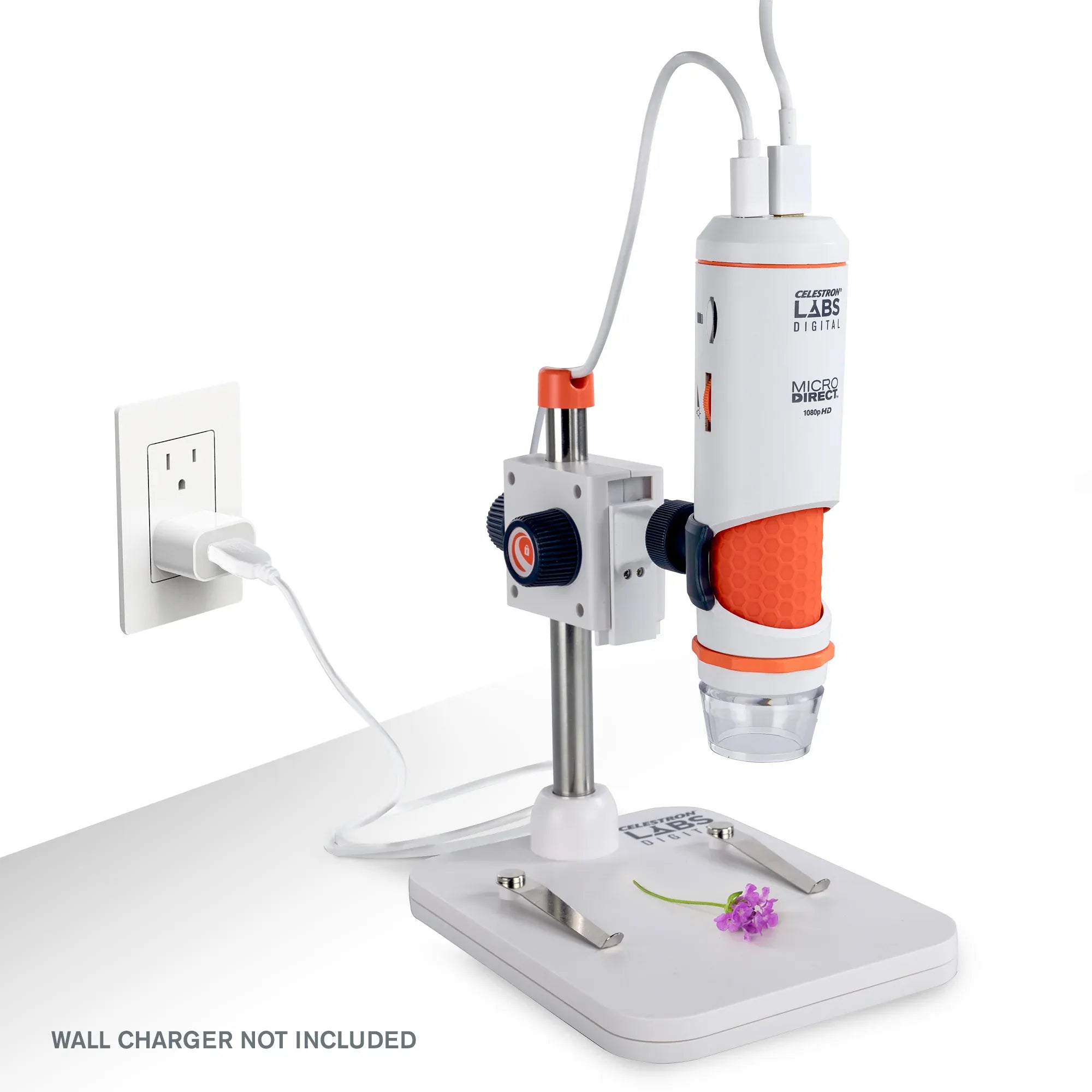 Celestron STEM Celestron Labs Digital MicroDirect Microscope - 44316