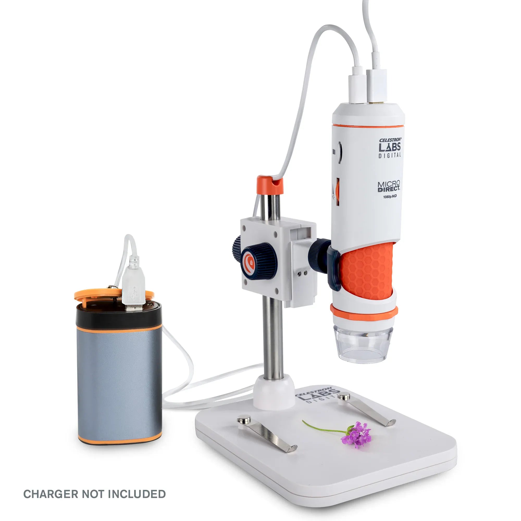 Celestron STEM Celestron Labs Digital MicroDirect Microscope - 44316