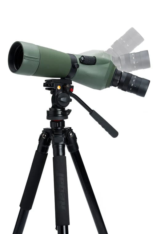 Celestron Telescope Celestron Regal M2 16-48x65mm ED Angled Zoom Spotting Scope - 52304