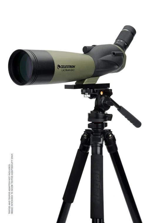 Celestron Telescope Celestron Ultima 20-60x80mm Angled Zoom Spotting Scope - 52250