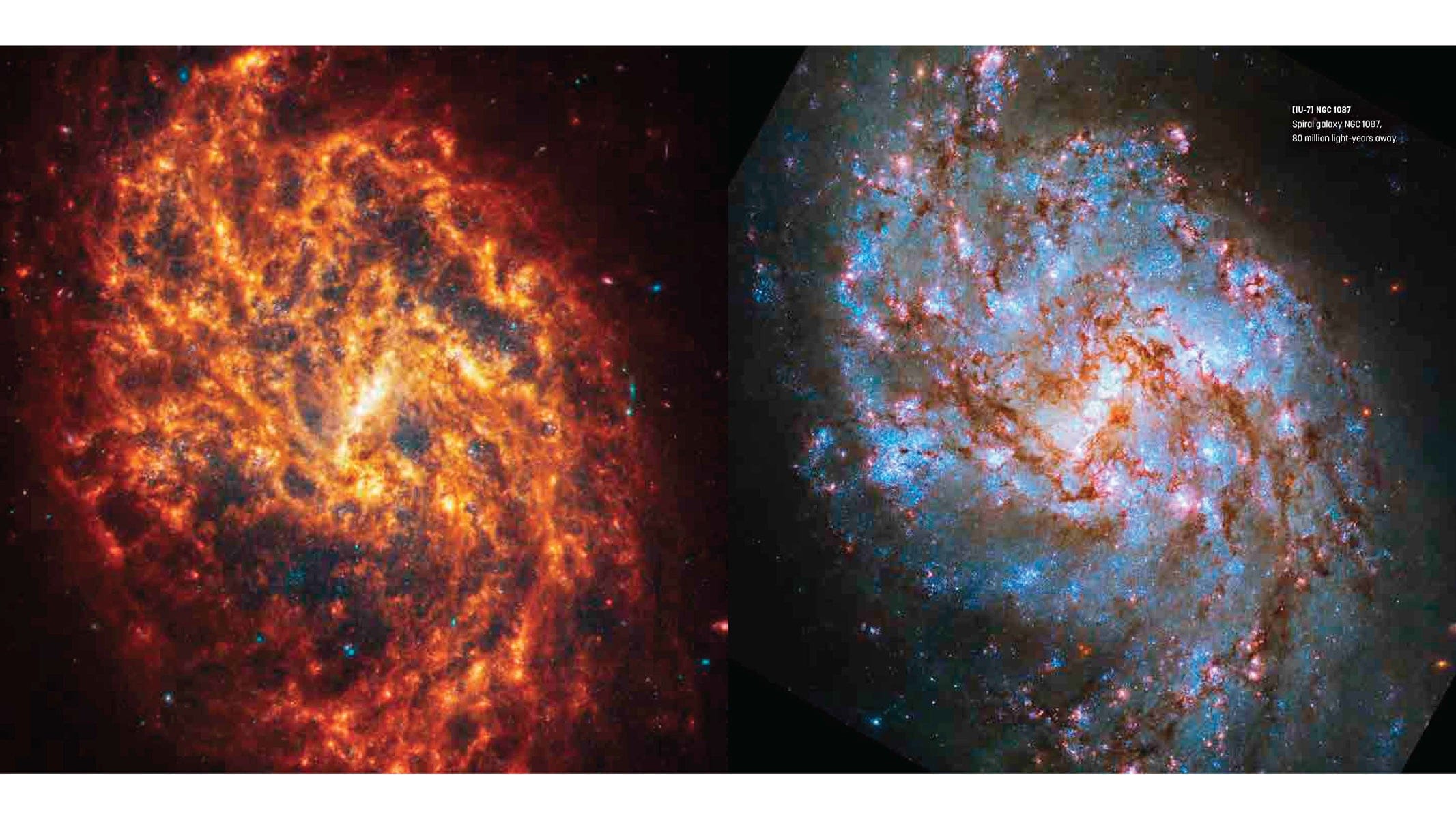 Firefly Books Books Webb's Cosmos