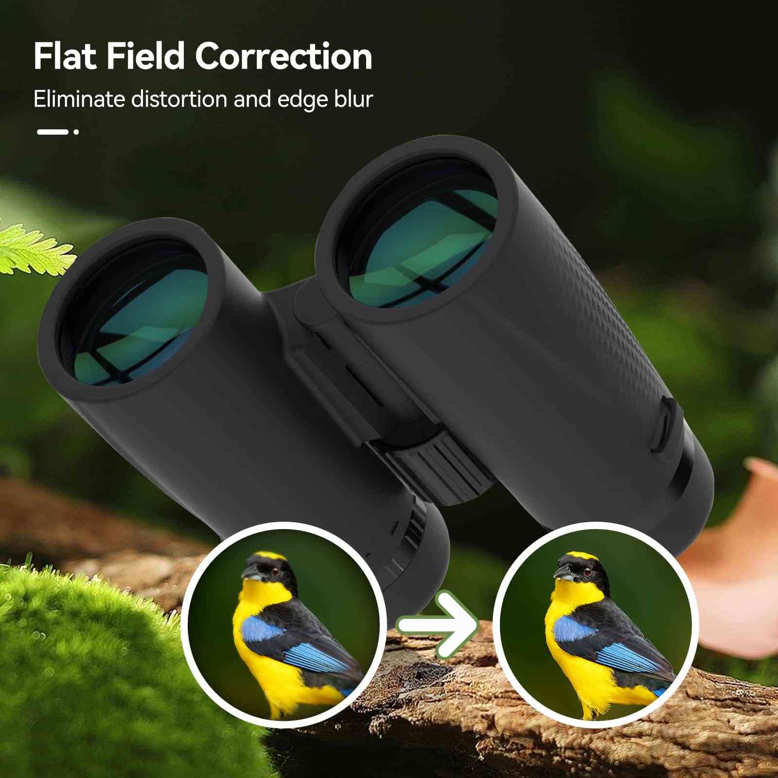 Svbony Binocular Svbony SA205 8x42ED Flat-field Binoculars BaK-4 Prism IP67 Waterproof - F9389A