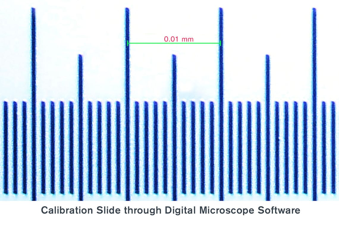 Celestron Accessory Celestron Microscope Calibration Slide - 44401