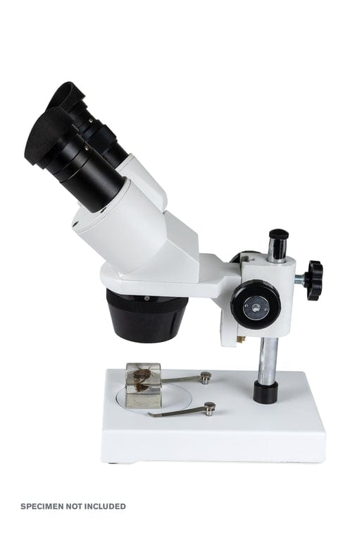 Celestron Microscope Celestron Labs S10-30N Stereo Microscope - 44138