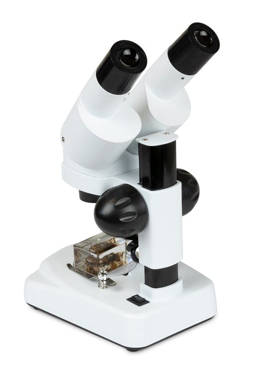 Celestron Microscope Celestron Labs S20A Angled Stereo Microscope - 44137