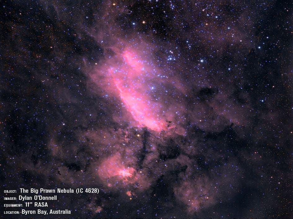Celestron Telescope Celestron 11" Rowe-Ackermann Schmidt Astrograph (RASA 11) Optical Tube Assembly (CGE Dovetail) - 91076